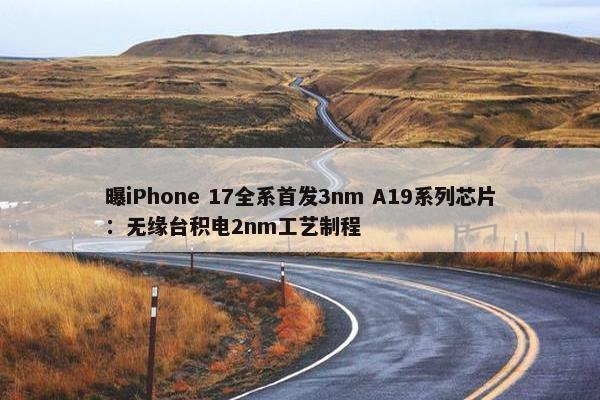 曝iPhone 17全系首发3nm A19系列芯片：无缘台积电2nm工艺制程