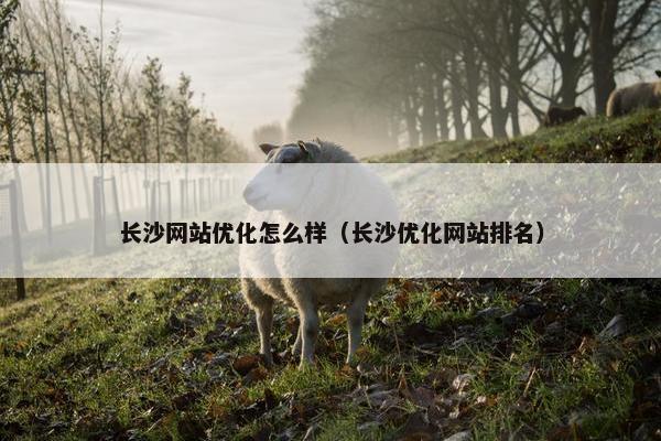 长沙网站优化怎么样（长沙优化网站排名）