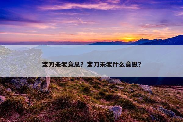 宝刀未老意思？宝刀未老什么意思？