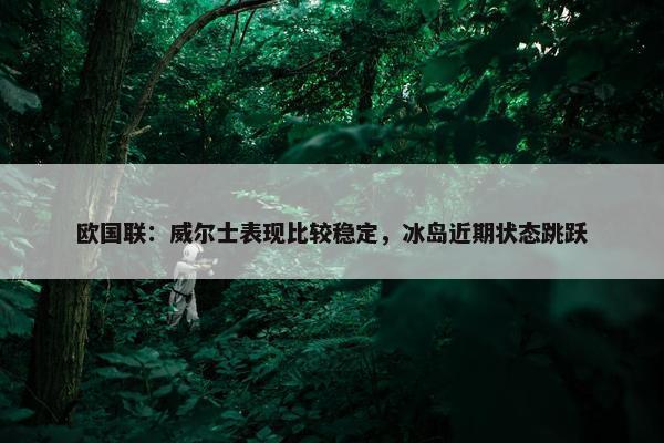 欧国联：威尔士表现比较稳定，冰岛近期状态跳跃