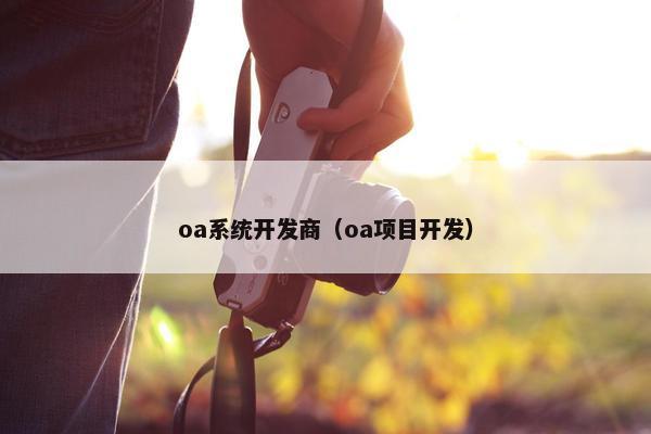 oa系统开发商（oa项目开发）