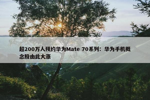 超200万人预约华为Mate 70系列：华为手机概念股由此大涨