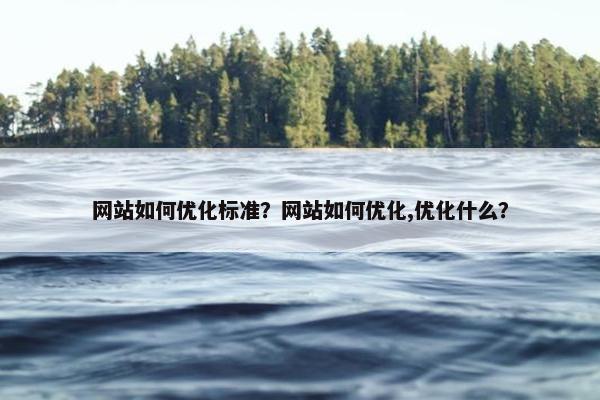 网站如何优化标准？网站如何优化,优化什么？