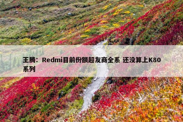 王腾：Redmi目前份额超友商全系 还没算上K80系列