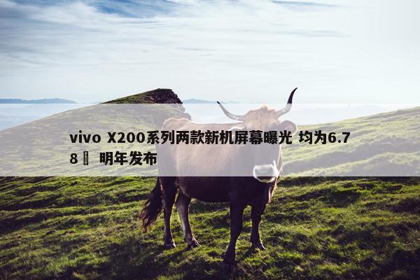 vivo X200系列两款新机屏幕曝光 均为6.78吋 明年发布