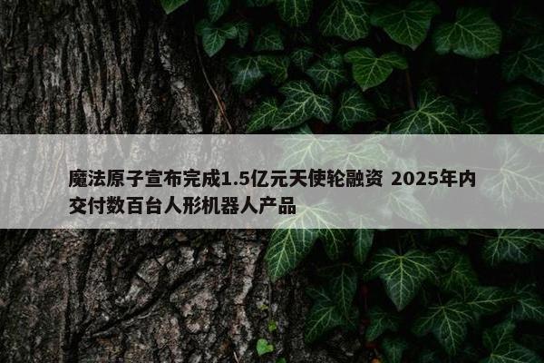 魔法原子宣布完成1.5亿元天使轮融资 2025年内交付数百台人形机器人产品