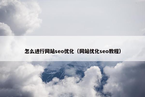 怎么进行网站seo优化（网站优化seo教程）