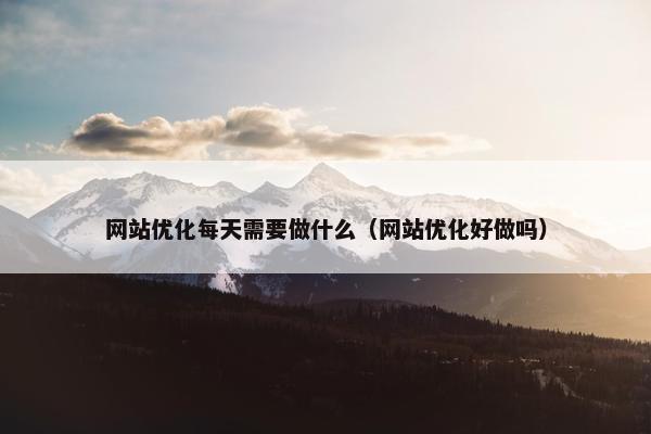 网站优化每天需要做什么（网站优化好做吗）