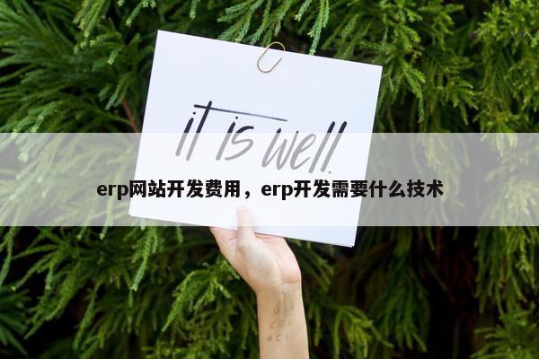 erp网站开发费用，erp开发需要什么技术