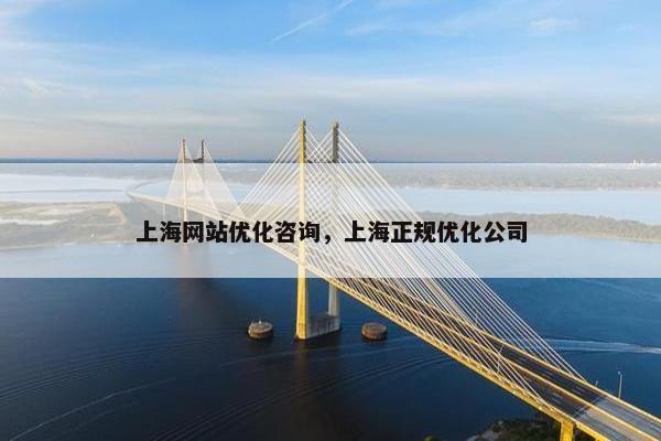 上海网站优化咨询，上海正规优化公司