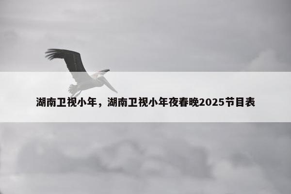 湖南卫视小年，湖南卫视小年夜春晚2025节目表