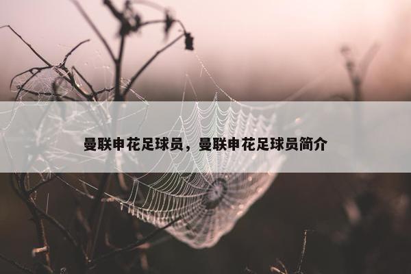 曼联申花足球员，曼联申花足球员简介