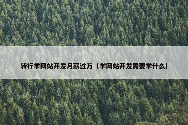 转行学网站开发月薪过万（学网站开发需要学什么）