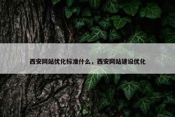 西安网站优化标准什么，西安网站建设优化