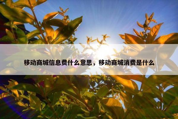 移动商城信息费什么意思，移动商城消费是什么