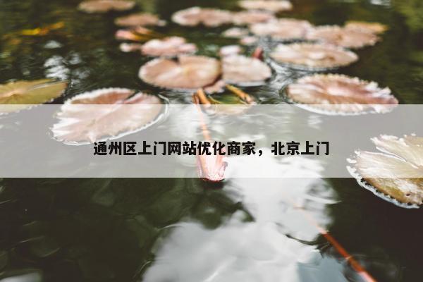 通州区上门网站优化商家，北京上门