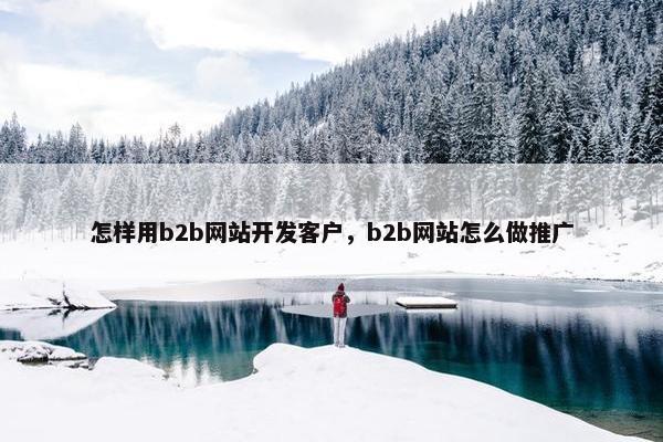 怎样用b2b网站开发客户，b2b网站怎么做推广