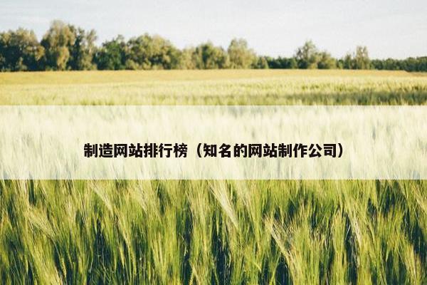 制造网站排行榜（知名的网站制作公司）