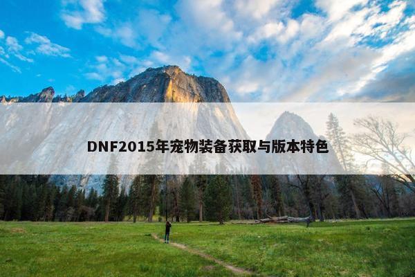 DNF2015年宠物装备获取与版本特色