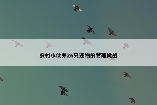 农村小伙养26只宠物的管理挑战