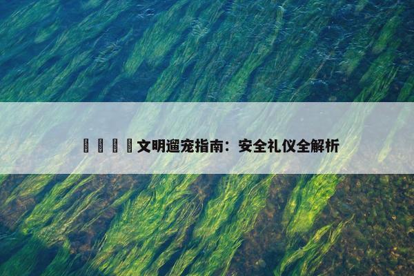 🐾文明遛宠指南：安全礼仪全解析