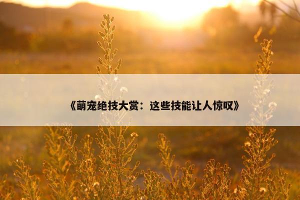 《萌宠绝技大赏：这些技能让人惊叹》