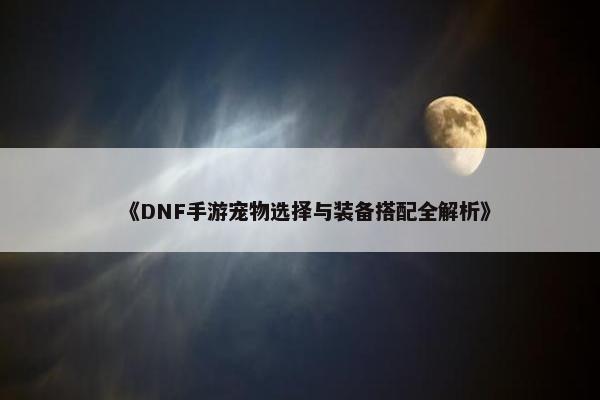 《DNF手游宠物选择与装备搭配全解析》