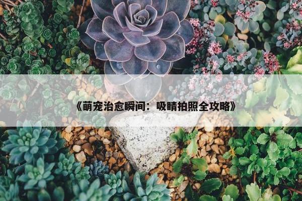 《萌宠治愈瞬间：吸睛拍照全攻略》