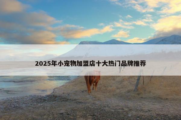 2025年小宠物加盟店十大热门品牌推荐