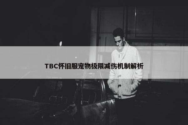 TBC怀旧服宠物极限减伤机制解析