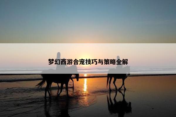 梦幻西游合宠技巧与策略全解