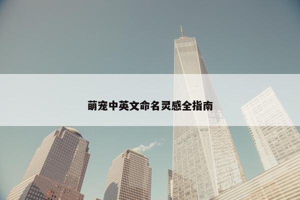 萌宠中英文命名灵感全指南