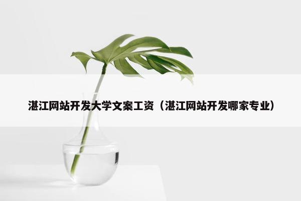 湛江网站开发大学文案工资（湛江网站开发哪家专业）