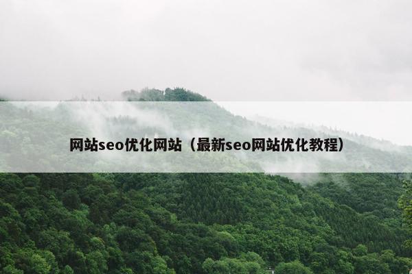 网站seo优化网站（最新seo网站优化教程）