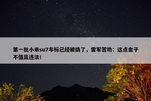 第一批小米su7车标已经被撬了，雷军苦劝：这点金子不值且违法！