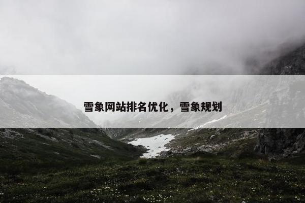 雪象网站排名优化，雪象规划