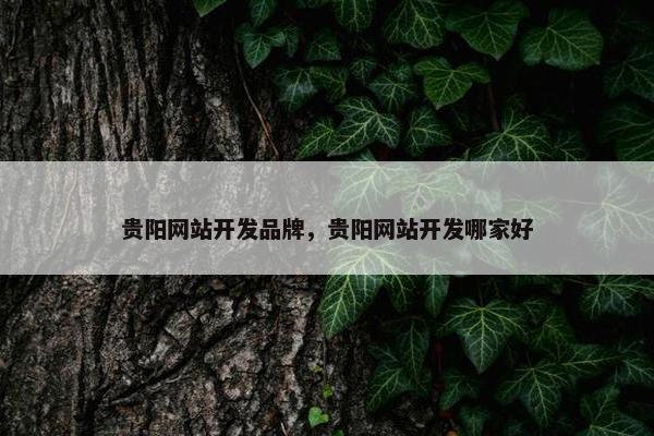 贵阳网站开发品牌，贵阳网站开发哪家好