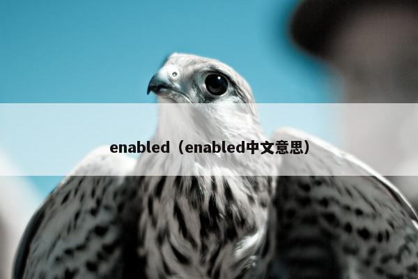 enabled（enabled中文意思）