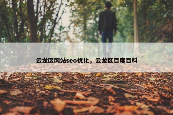 云龙区网站seo优化，云龙区百度百科