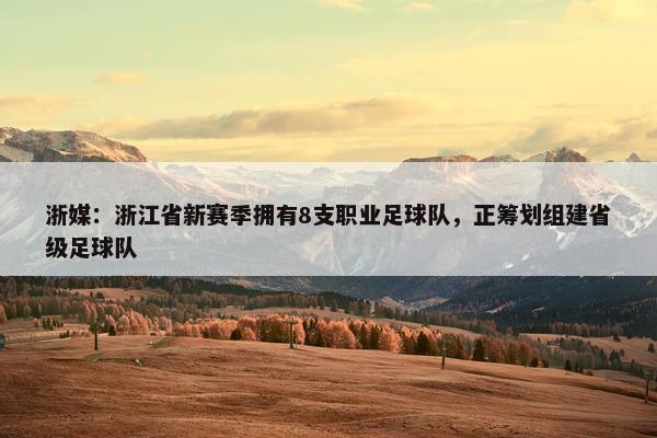 浙媒：浙江省新赛季拥有8支职业足球队，正筹划组建省级足球队