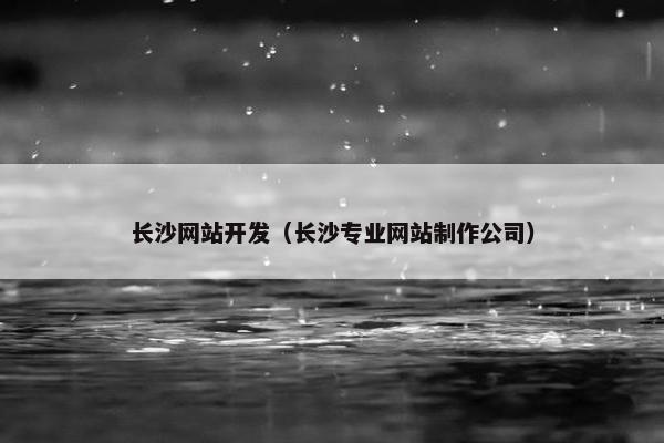 长沙网站开发（长沙专业网站制作公司）