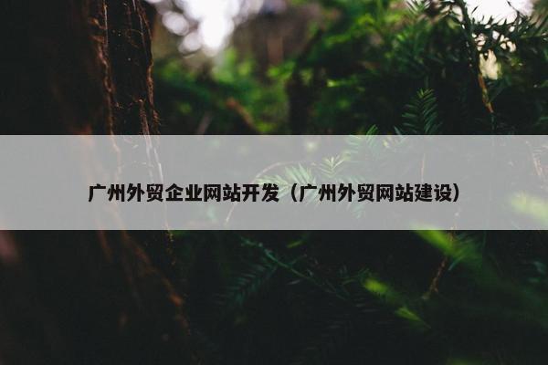 广州外贸企业网站开发（广州外贸网站建设）