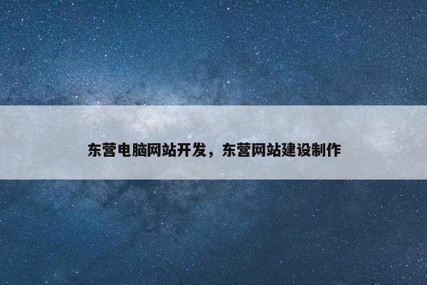 东营电脑网站开发，东营网站建设制作