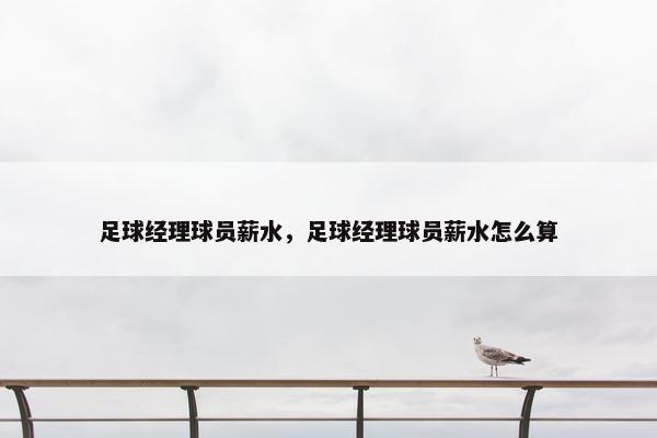 足球经理球员薪水，足球经理球员薪水怎么算