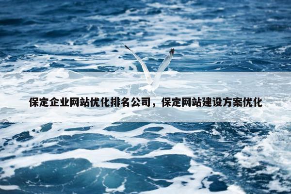 保定企业网站优化排名公司，保定网站建设方案优化