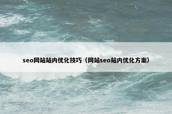 seo网站站内优化技巧（网站seo站内优化方案）