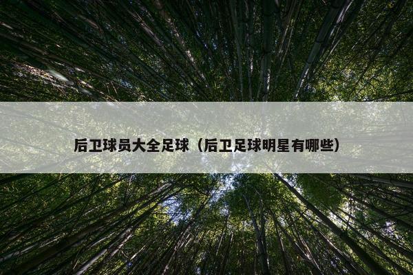 后卫球员大全足球（后卫足球明星有哪些）