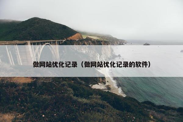 做网站优化记录（做网站优化记录的软件）