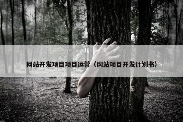 网站开发项目项目运营（网站项目开发计划书）