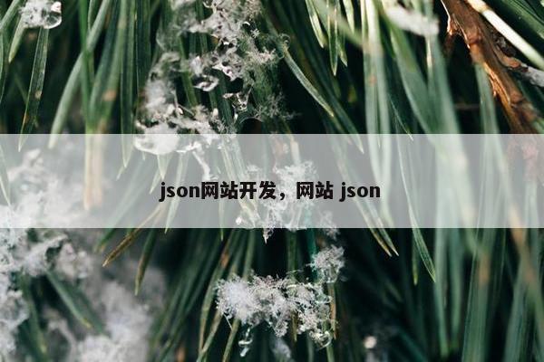 json网站开发，网站 json